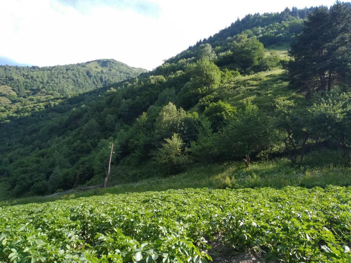 Raul Lushnu Darbaz Acomodação com café da manhã Mestia Exterior foto